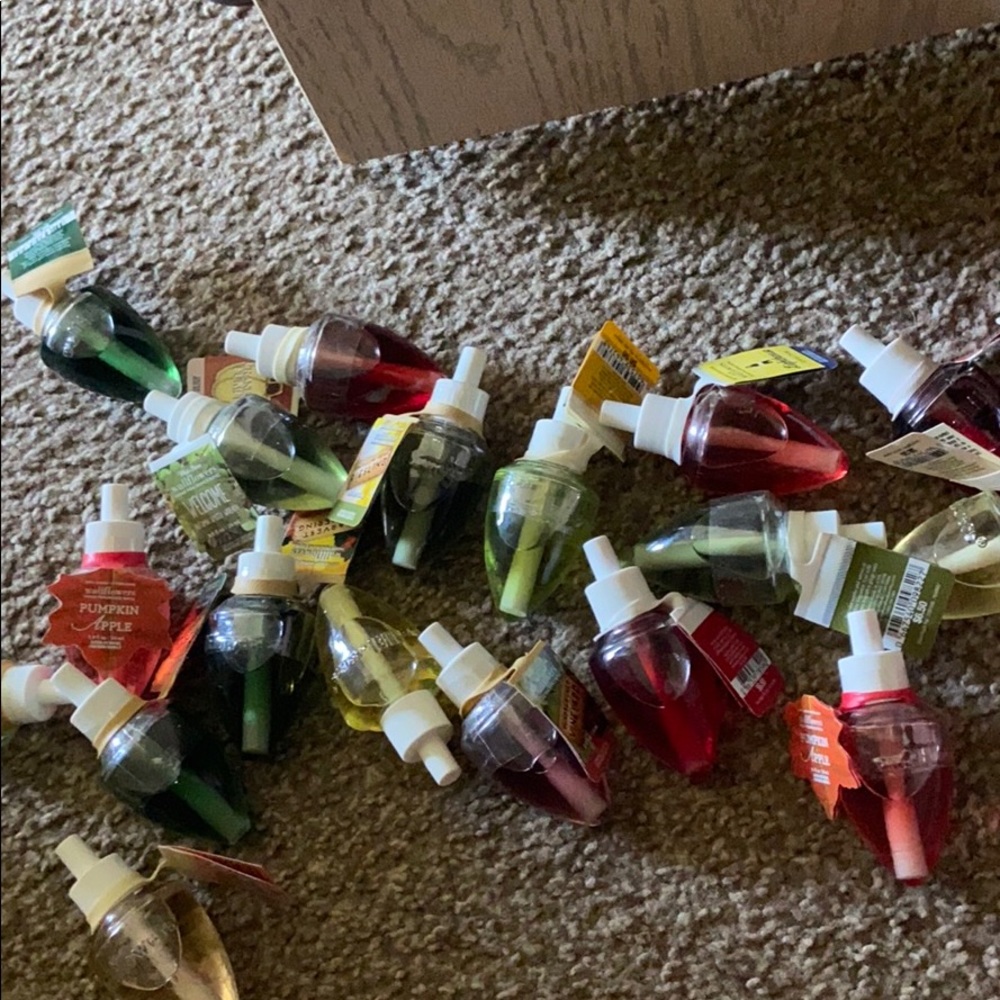 Assorted Lot of Wallflowers